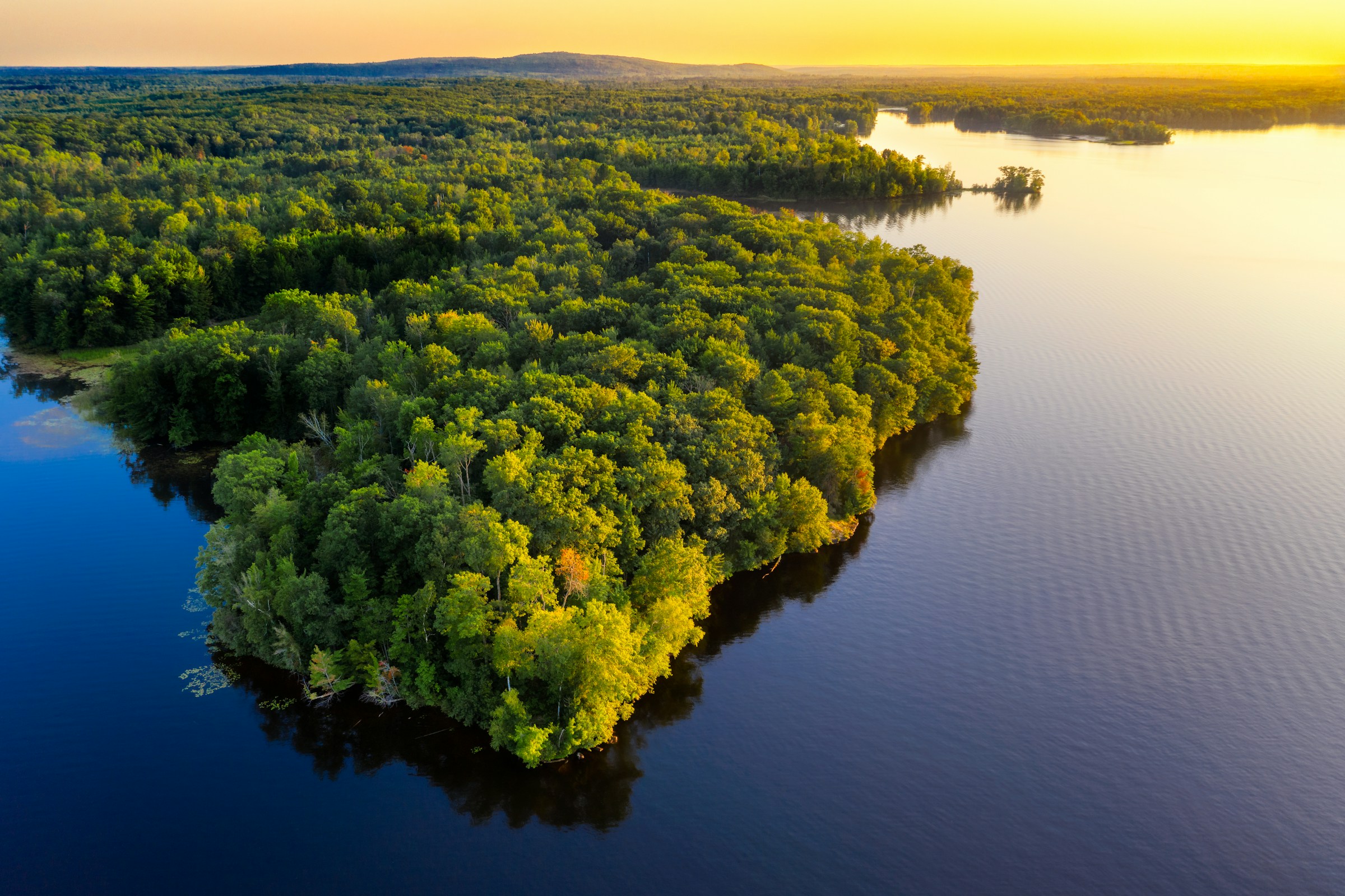 Forested lake surrounded by evergreen trees at sunset